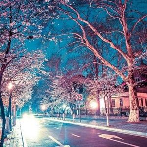 Meet your Posher, Skyler